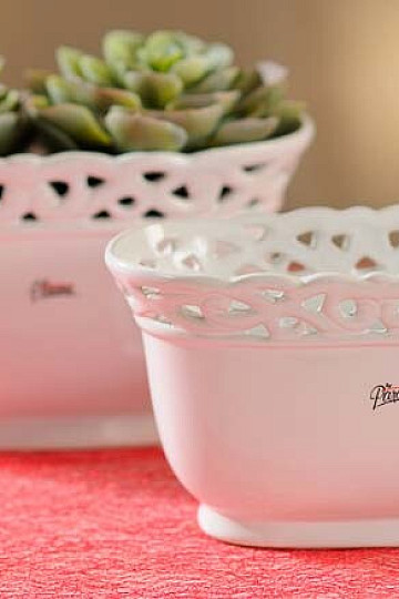 Pizzo Jardinka bianco 24 cm