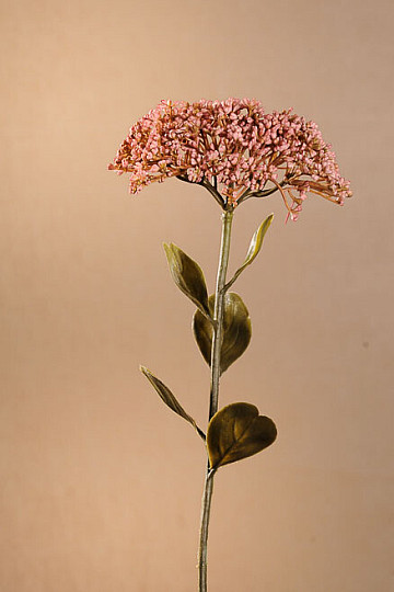 SEDUM SECCO IN PIENA FIORITURA 46 cm rosa antico