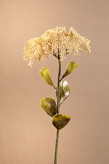 SEDUM SECCO IN PIENA FIORITURA 46 cm bianco