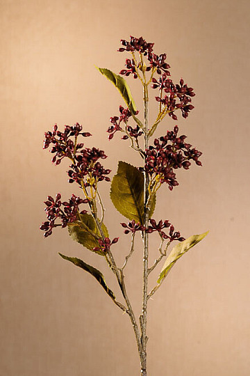 VIBURNUM TINUS SECCO 58 cm bordeaux