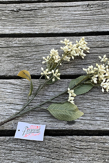 VIBURNUM TINUS SECCO 58 cm bianco