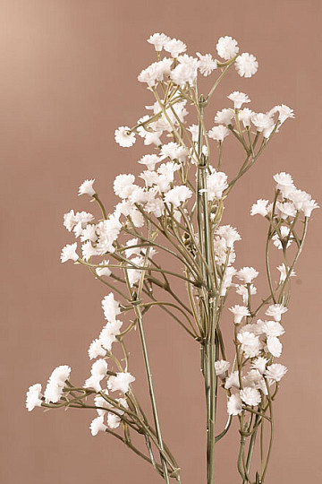 GYPSOFILA bianco