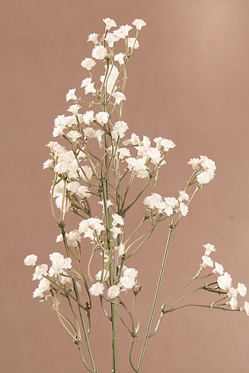 Crema GYPSOFILA