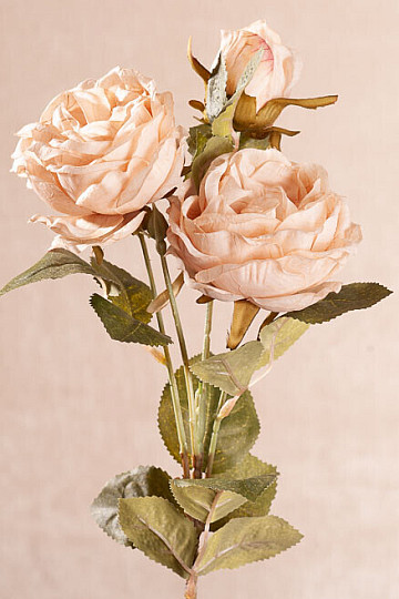 CAVOLO ROSA cremoso