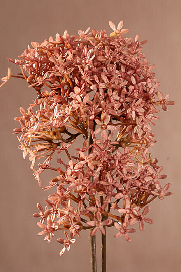 FIORE SECCO CORONA ROSA