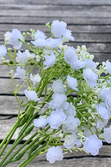 GESSO SPRAY BIANCO