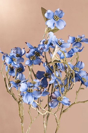 CORNIOLO BLU