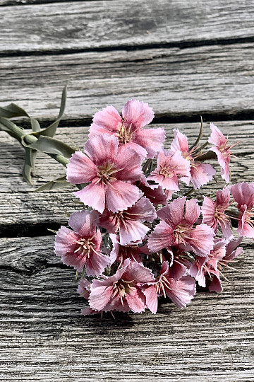GAROFANO ROSA