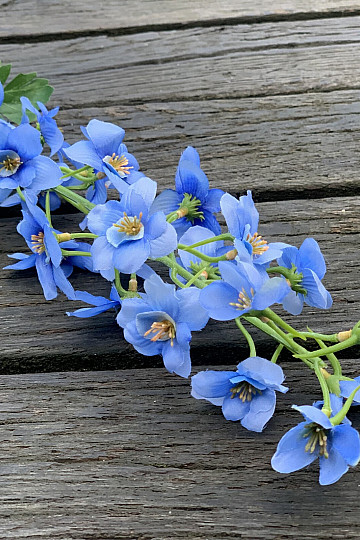 DELPHINIUM BLU