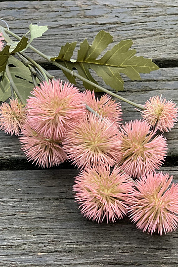 POMPON DI PLASTICA SECCA ROSA