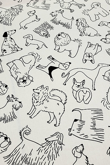 Materiale per pittura PSI