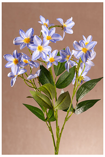 BLU CLEMATICO