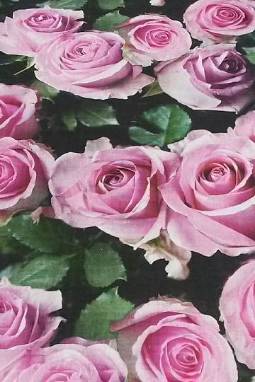 Tessuto decorativo Rose stampa digitale 3D