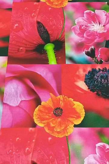 Tessuto decorativo stampa digitale GIARDINO GIAPPONESE