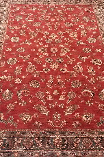 Lussuosi tappeti in lana ROYAL all-over color rosso fiore