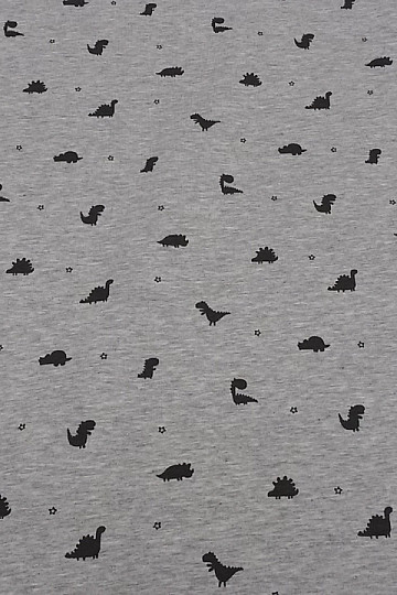 Maglia in cotone DINOSAUŘI ZEDINO grigio