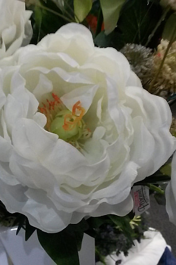 Peonia grande 67 cm