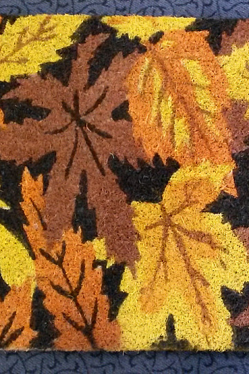 FOGLIE dello zerbino