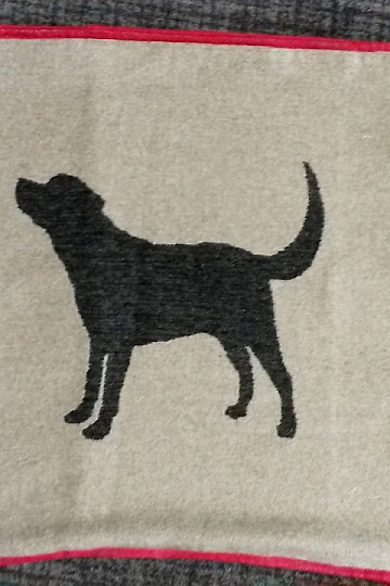 copertina DF per cani LABRADOR beige