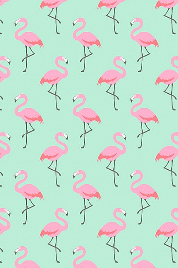 Tessuto di cotone FLAMINGO turchese