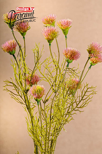 Rosa fiordaliso 56 cm