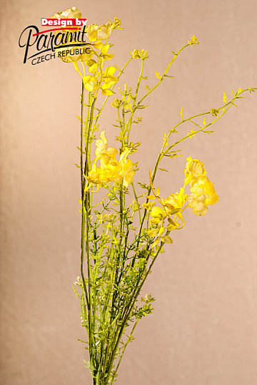 FIORI DI PRATO gialli