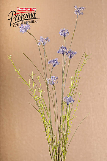 FIORI DI PRATO viola