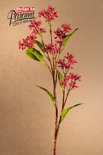 Bacca di vino giapponese 63 cm