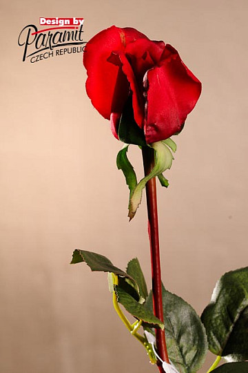 Bocciolo di rosa rosso 70 cm