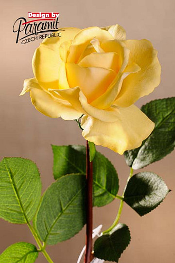 Rosa gialla 67 cm