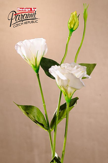 Lisianthus bianco 67 cm