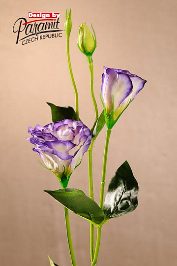 Lisianthus bianco blu 67 cm