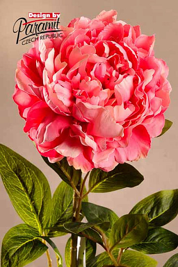 Peonia rosa 72 cm