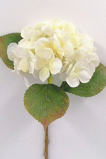 Ortensia bianca 48 cm