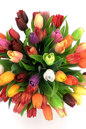 Mix di colori dei tulipani