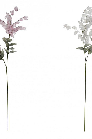 Glicine 126 cm