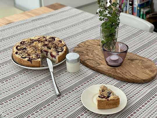 Tovaglia e scialle TOSCANA VALERY RIGA BORDON STRIPE