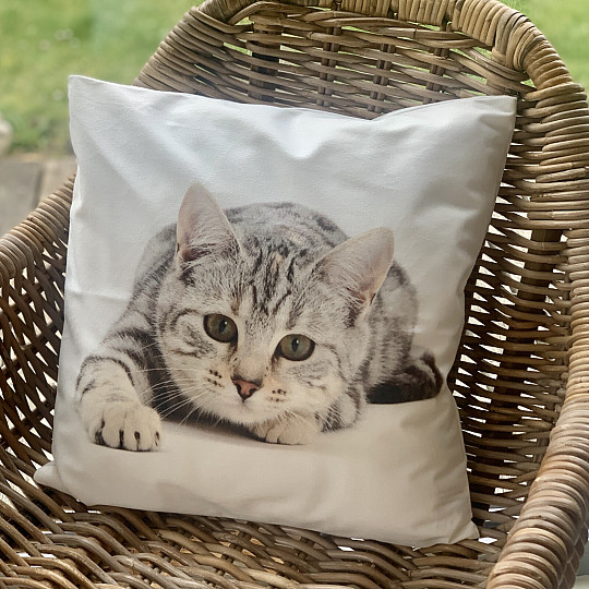 Fodera per cuscino decorativo GATTO GIACENTE