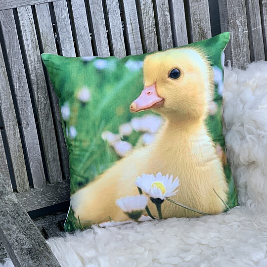 Fodera per cuscino decorativo HOUSÁTKO