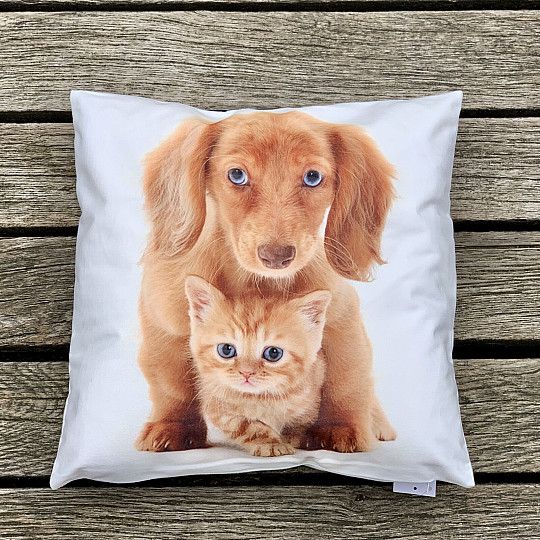 Federa CANE E GATTO