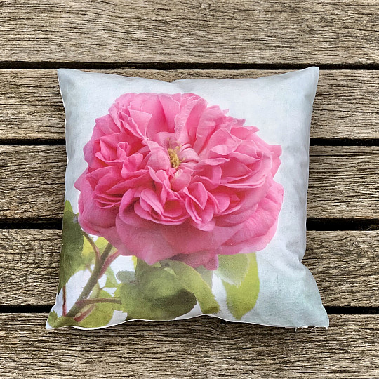 Federa ROSE CENTOPLE