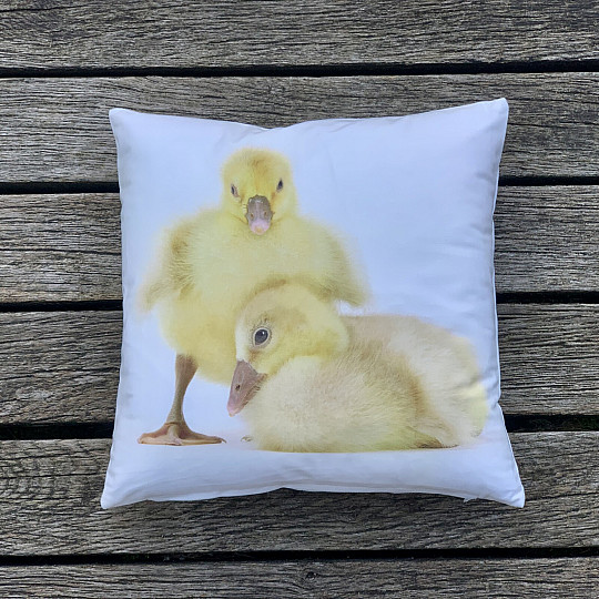 Federa decorativa GOOSE