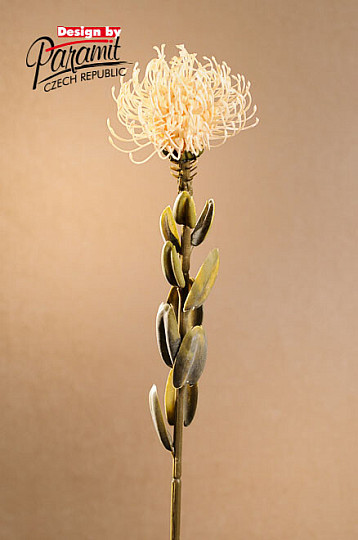 PROTEA PICCOLA SECCA BIANCA