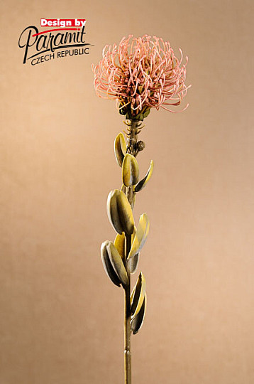 PICCOLA PROTEA ROSA SECCA