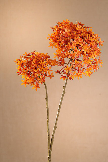 CORONA DI FIORI SECCHI ARANCIA