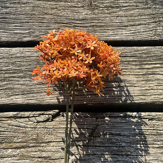 CORONA DI FIORI SECCHI ARANCIA