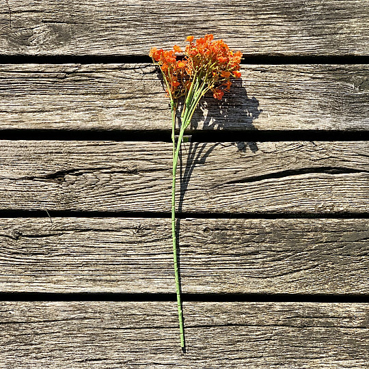 SPRAY AL GESSO ARANCIO