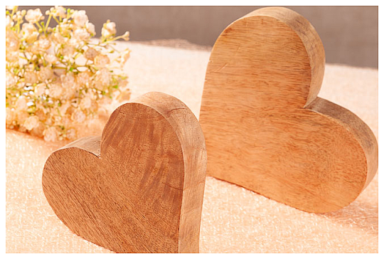 IL CUORE DI LEGNO DI JENNY