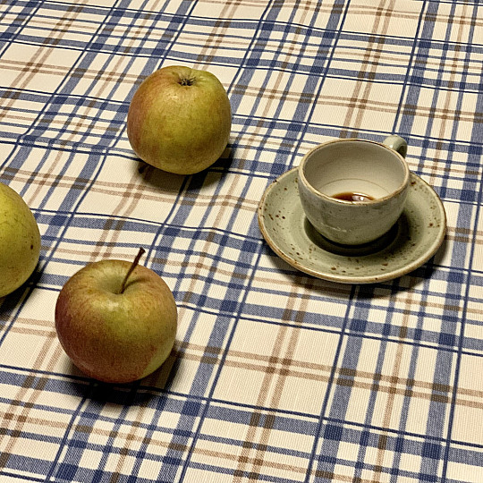 Tovaglia LAURA - quadretti blu