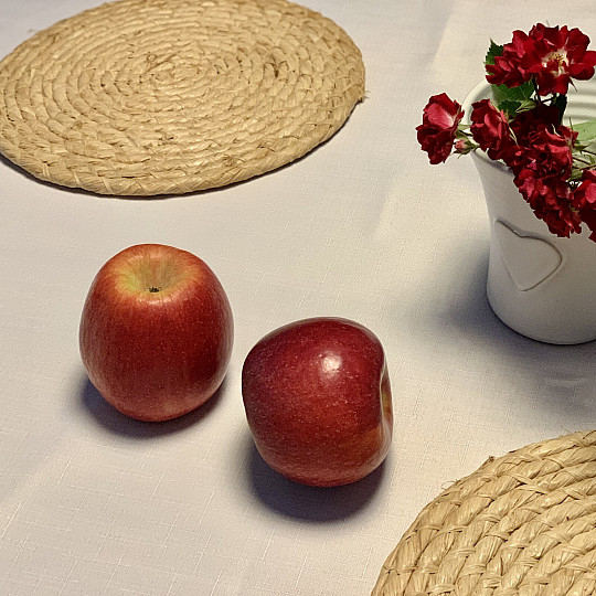 Tovaglia in TEFLON ELBA bianca